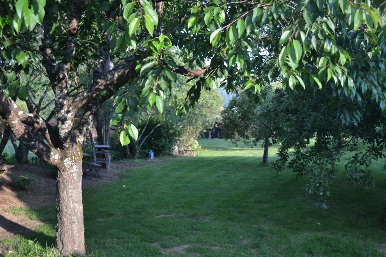 Maison Du Chien Vert Corbion Zewnętrze zdjęcie